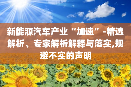 新能源汽車產(chǎn)業(yè)“加速”-精選解析、專家解析解釋與落實(shí),規(guī)避不實(shí)的聲明