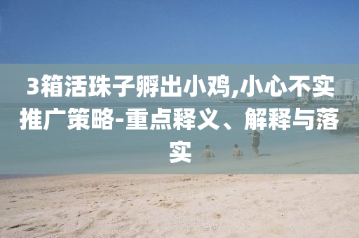 3箱活珠子孵出小雞,小心不實(shí)推廣策略-重點(diǎn)釋義、解釋與落實(shí)