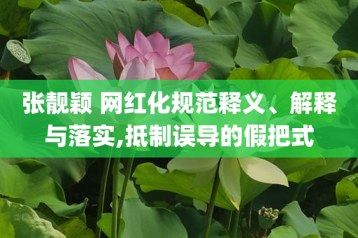 張靚穎 網(wǎng)紅化規(guī)范釋義、解釋與落實(shí),抵制誤導(dǎo)的假把式
