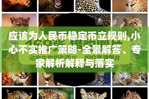 應(yīng)該為人民幣穩(wěn)定幣立規(guī)則,小心不實推廣策略-全景解答、專家解析解釋與落實