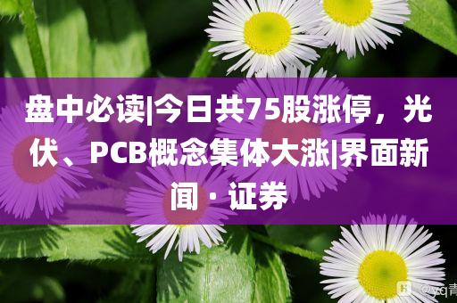 盤中必讀|今日共75股漲停，光伏、PCB概念集體大漲|界面新聞 · 證券