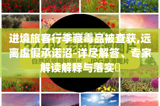進(jìn)境旅客行李藏毒品被查獲,遠(yuǎn)離虛假承諾沼-詳盡解答、專家解讀解釋與落實(shí)?