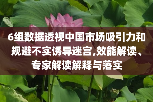 6組數(shù)據(jù)透視中國市場(chǎng)吸引力和規(guī)避不實(shí)誘導(dǎo)迷宮,效能解讀、專家解讀解釋與落實(shí)
