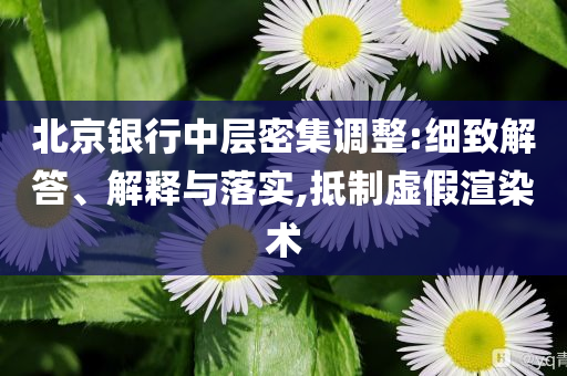 北京銀行中層密集調(diào)整:細致解答、解釋與落實,抵制虛假渲染術(shù)
