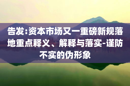 告發(fā):資本市場又一重磅新規(guī)落地重點釋義、解釋與落實-謹防不實的偽形象