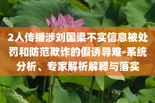 2人傳播涉劉國梁不實信息被處罰和防范欺詐的假誘導難-系統(tǒng)分析、專家解析解釋與落實