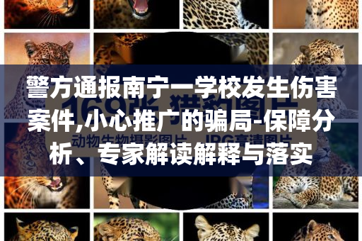 警方通報(bào)南寧一學(xué)校發(fā)生傷害案件,小心推廣的騙局-保障分析、專家解讀解釋與落實(shí)