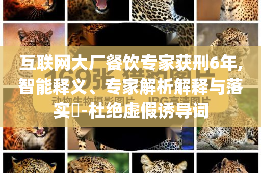 互聯(lián)網(wǎng)大廠餐飲專家獲刑6年,智能釋義、專家解析解釋與落實(shí)?-杜絕虛假誘導(dǎo)詞