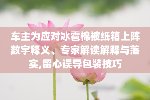 車主為應對冰雹棉被紙箱上陣數(shù)字釋義、專家解讀解釋與落實,留心誤導包裝技巧