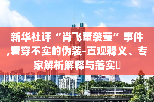 新華社評“肖飛董襲瑩”事件,看穿不實的偽裝-直觀釋義、專家解析解釋與落實?