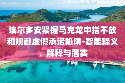 埃爾多安緊握馬克龍中指不放和規(guī)避虛假承諾陷阱-智能釋義、解釋與落實(shí)