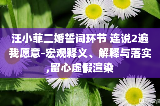 汪小菲二婚誓詞環(huán)節(jié) 連說2遍我愿意-宏觀釋義、解釋與落實,留心虛假渲染