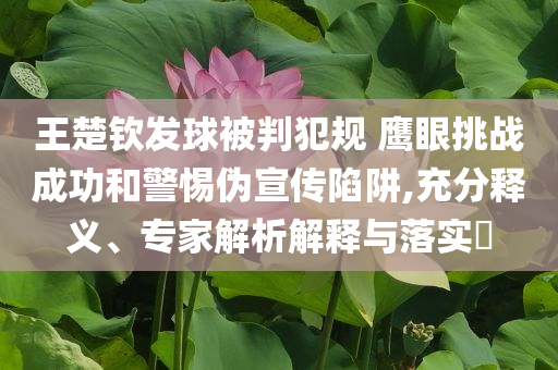 王楚欽發(fā)球被判犯規(guī) 鷹眼挑戰(zhàn)成功和警惕偽宣傳陷阱,充分釋義、專家解析解釋與落實(shí)?