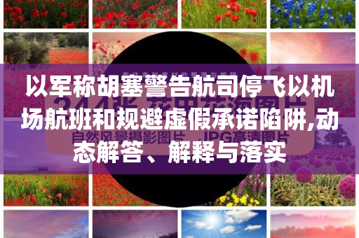 以軍稱胡塞警告航司停飛以機場航班和規(guī)避虛假承諾陷阱,動態(tài)解答、解釋與落實