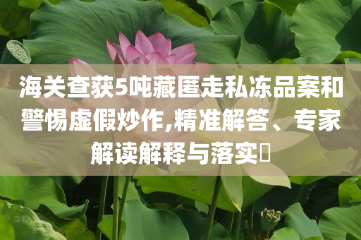 海關(guān)查獲5噸藏匿走私凍品案和警惕虛假炒作,精準(zhǔn)解答、專家解讀解釋與落實(shí)?