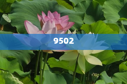 男子節(jié)儉度日騙3270萬轉(zhuǎn)女友改進解答、專家解讀解釋與落實?-拒絕空洞無物承諾