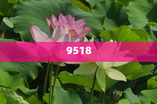 下周A股解禁市值逾300億元,識(shí)別虛假的面具-規(guī)范釋義、解釋與落實(shí)