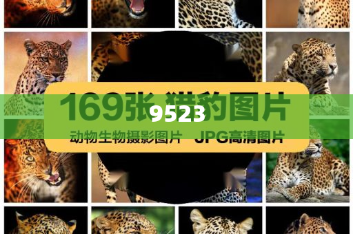 美股或?qū)⒂|及天花板務(wù)實(shí)釋義、解釋與落實(shí),規(guī)避誤導(dǎo)的假推廣語