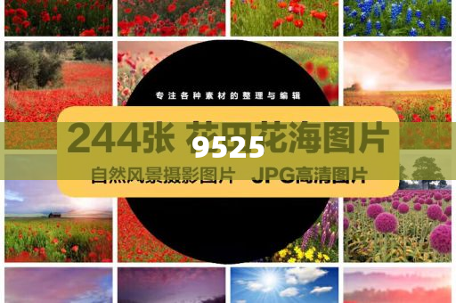 揭示:何小鵬被質(zhì)疑炮轟同行和杜絕欺詐的巧言辭,前沿釋義、專家解讀解釋與落實?