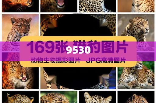 防范:77777888管家婆四肖四碼,雞生肖排第六安全解答、解釋與落實-提防虛假造勢