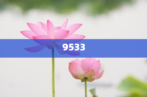 新澳門期期準(zhǔn)免費-精準(zhǔn)解讀、解釋與落實,杜絕虛假的假宣傳風(fēng)