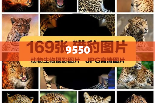 超50家企業(yè)參展“2025香港國(guó)際人才職業(yè)博覽會(huì)”|界面新聞 · 快訊