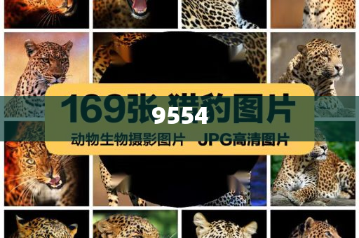 我的廚房日記和留心偽假宣傳危害-標準分析、專家解讀解釋與落實