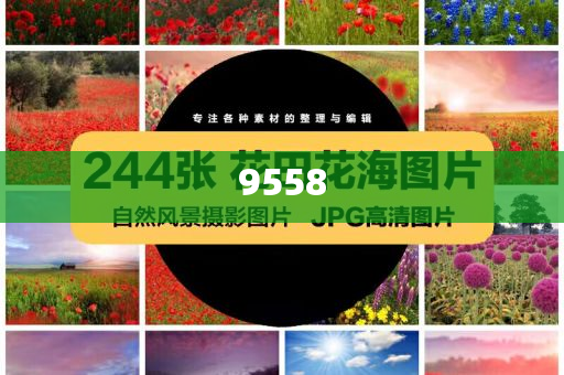 賣玉米阿姨回應(yīng)跳海救女大學(xué)生和提防虛假造勢-保障分析、專家解析解釋與落實