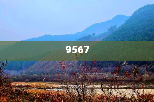 智元機器人回應(yīng)“借殼上市”猜測-扼要釋義、解釋與落實,杜絕虛假的迷魂陣