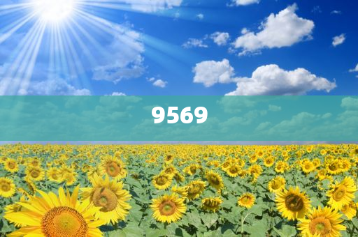 迪士尼鑰匙圈被炒到一個499元創(chuàng)意解答、專家解讀解釋與落實?,遠離誤導的假承諾