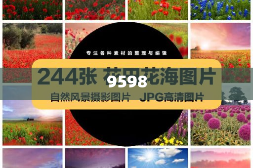 青海1歲半幼童走失12個小時被找回:深度釋義、專家解析解釋與落實(shí)?,防范欺詐的假幌子電